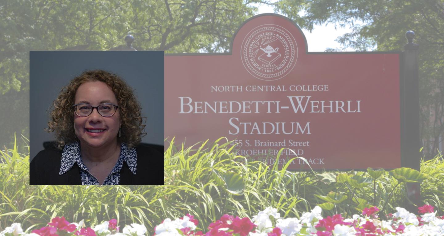 The new dean of the North Central School of Education and Health Sciences, Marci J. Swede.