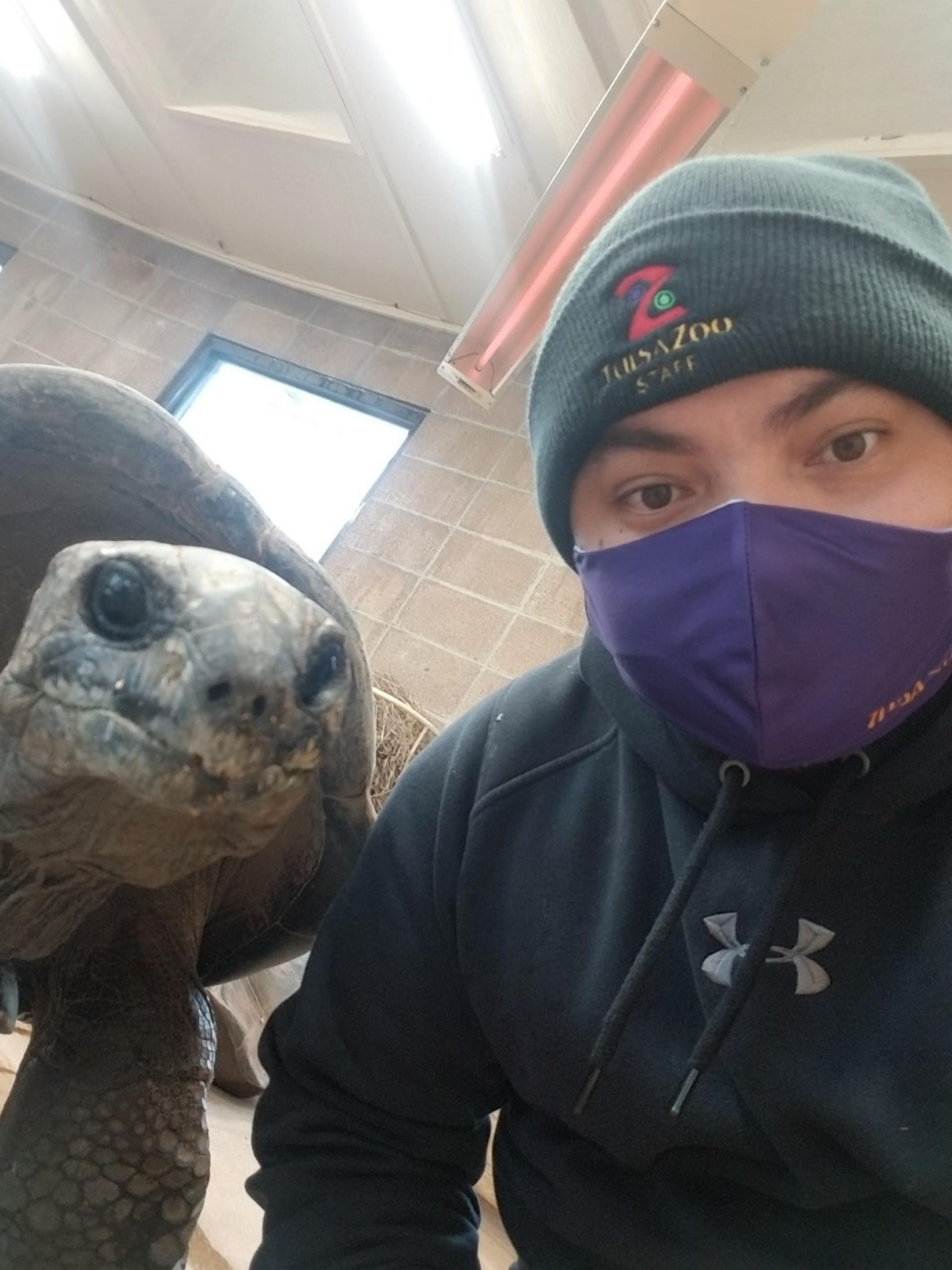 North Central College alumnus Eddie Exconde '20 poses with one of the giant tortoises he cares for at the Tulsa Zoo. 