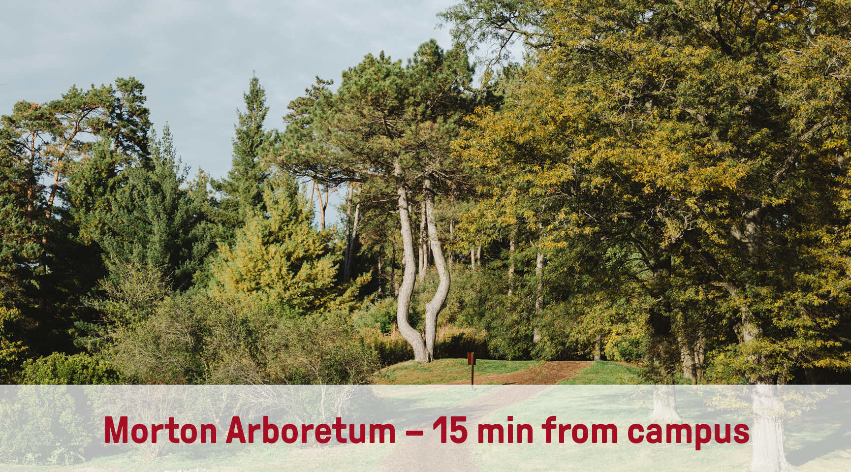 Morton Arboretum | 15min from campus