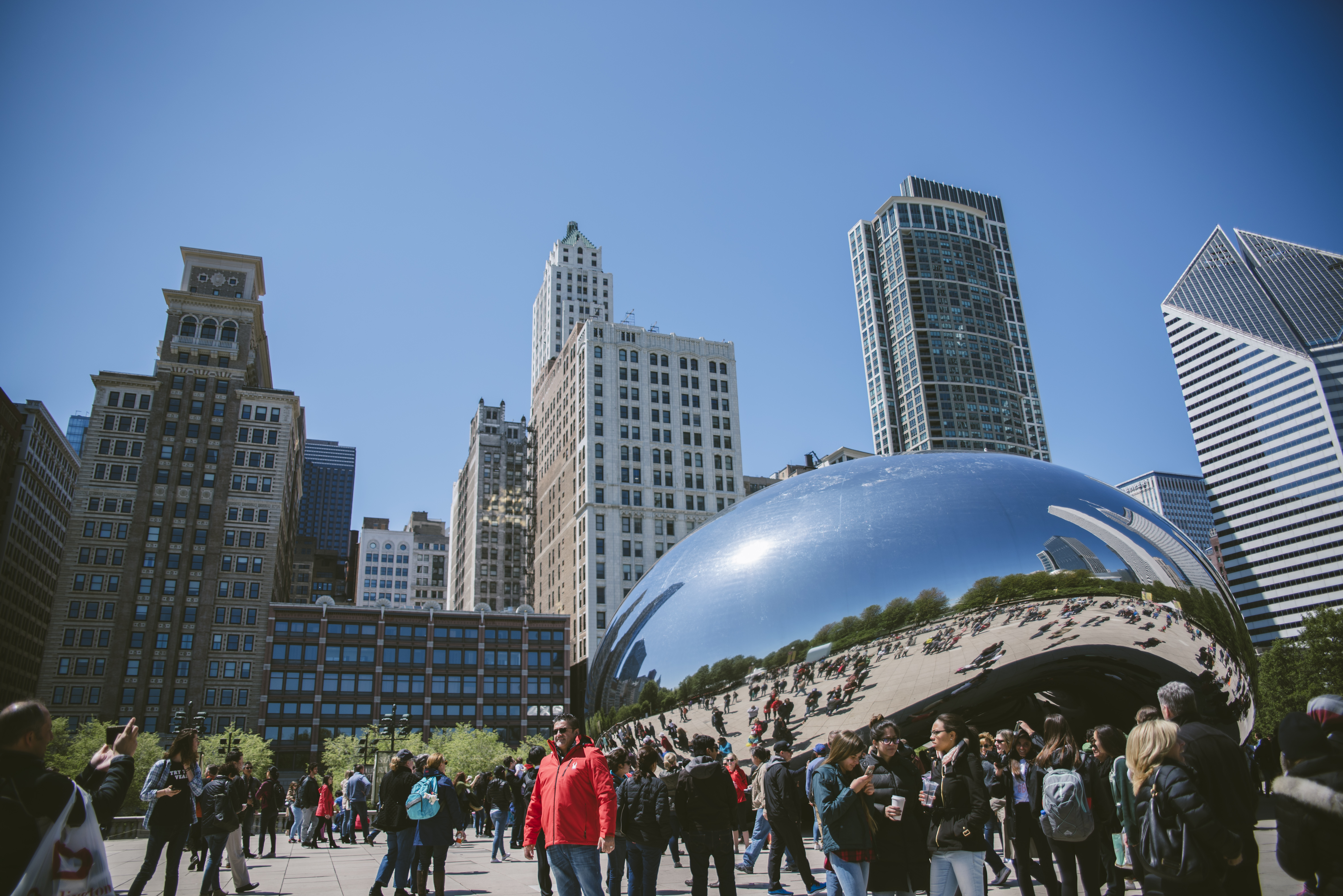 The Chicago Bean