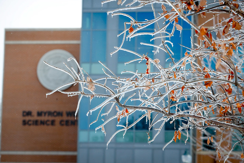 Frozen tree branches outside Wentz Science Center