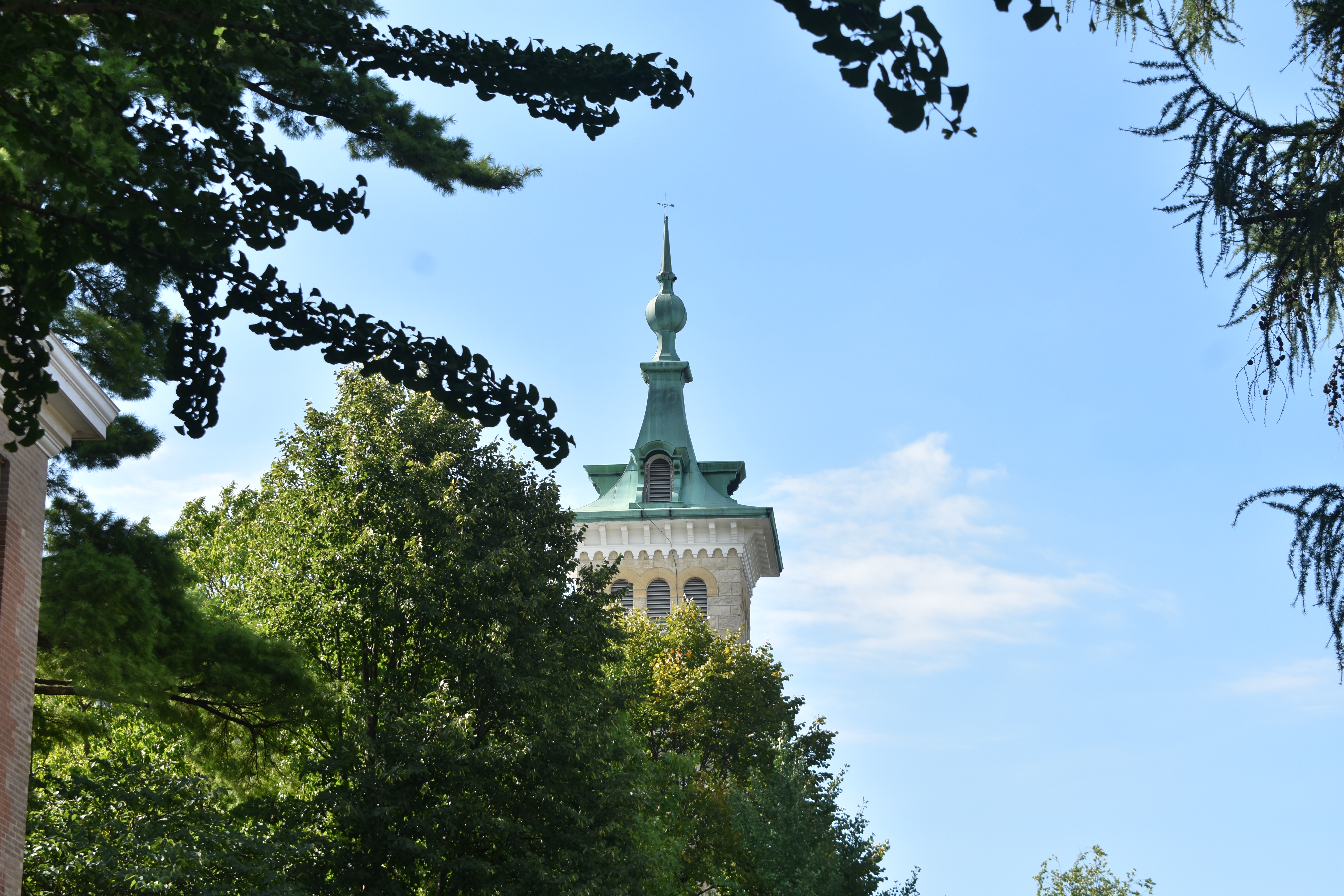 Old Main Tower behind trees