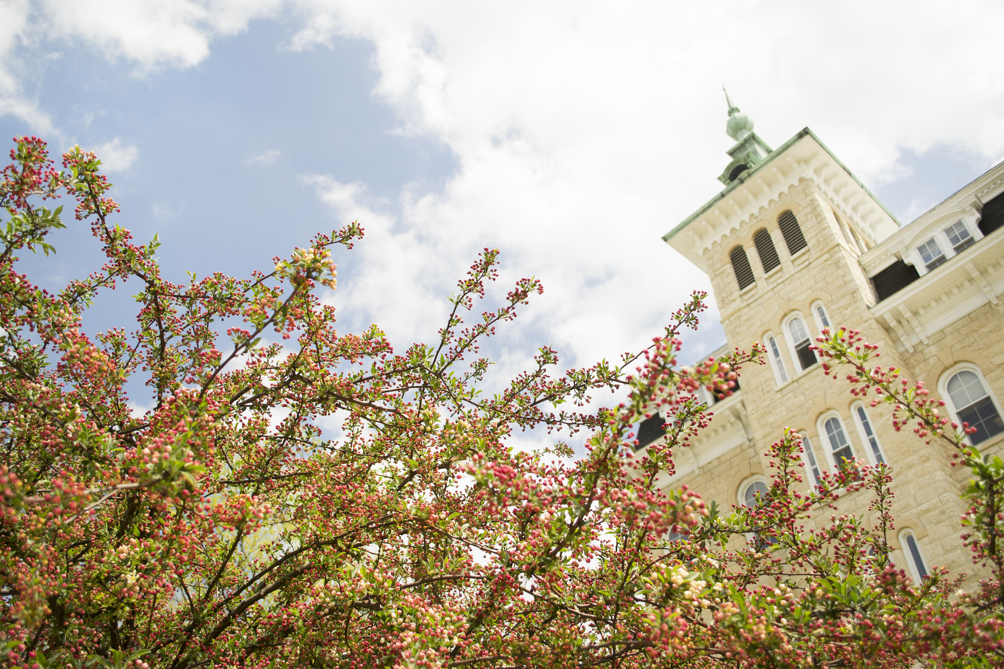 Old Main behind trees