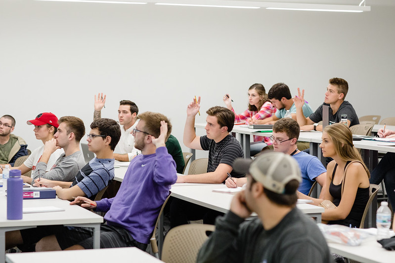 Students raising hands 
