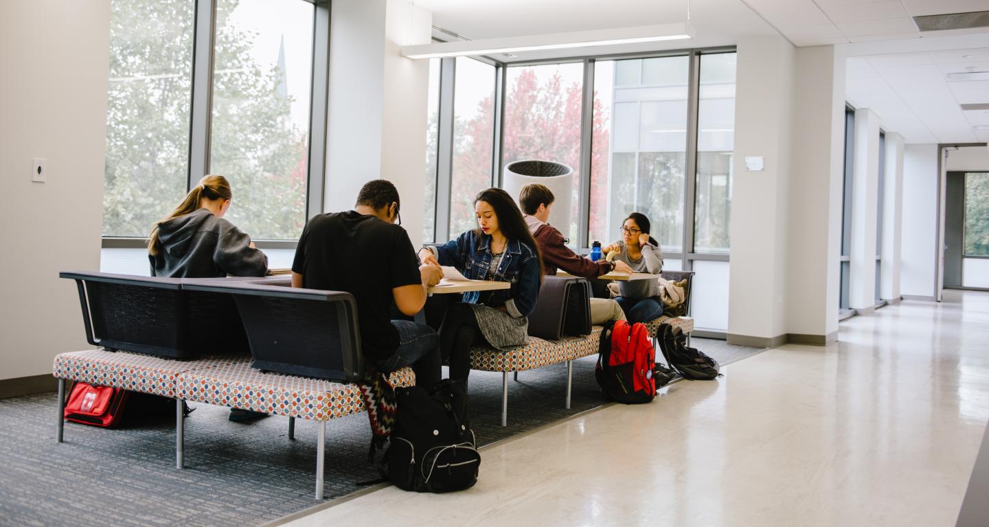 Students studying in lounge