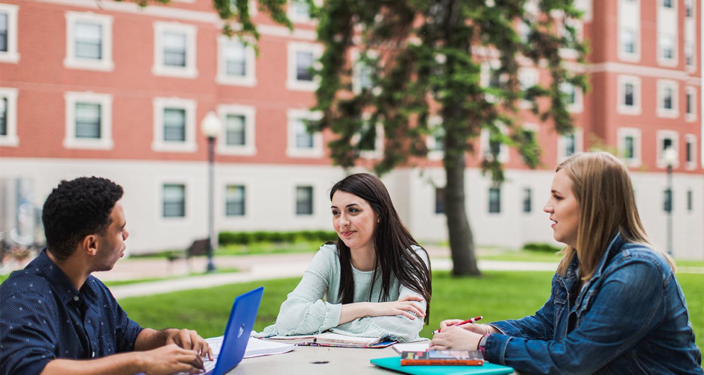 Students studying on campus