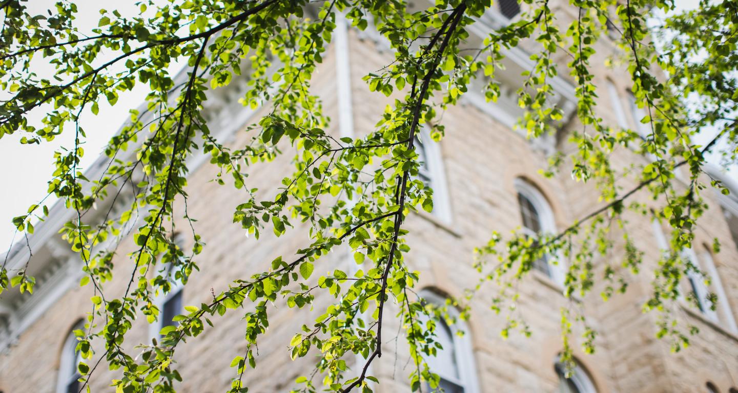 trees in front of old main