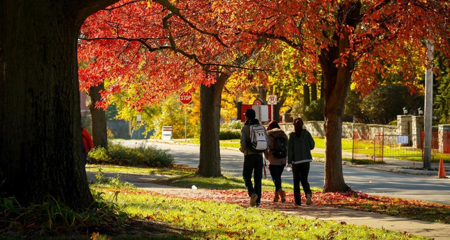 three students walking outside with fall leaves