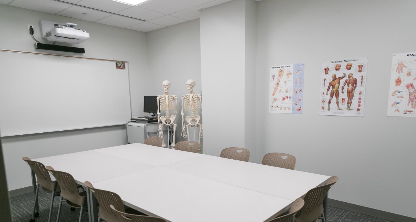 A physical therapy classroom at North Central College.