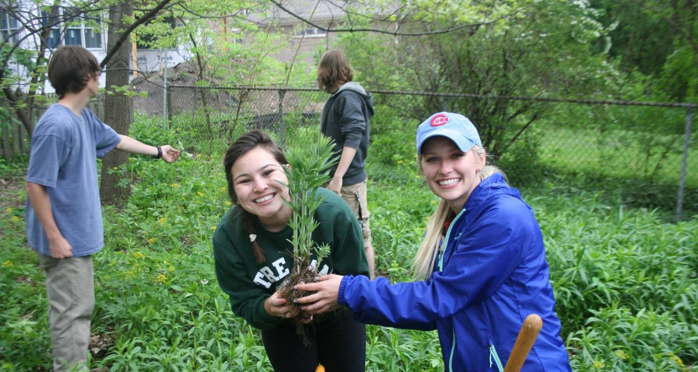 Environmental studies students at North Central College work on planting trees.