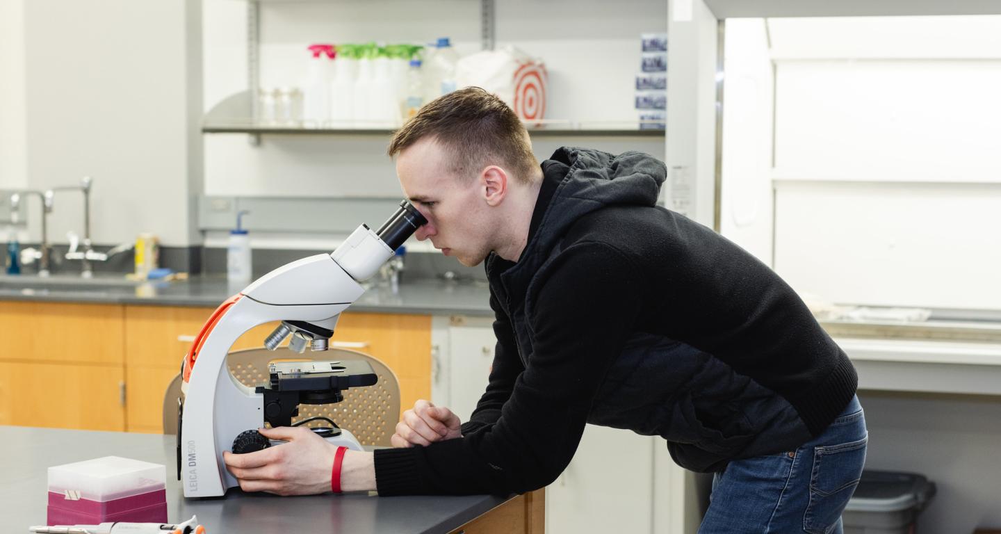 A North Central College biology student looking into a microscope.