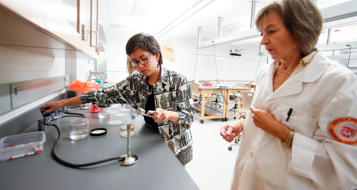 A North Central College biology student works on an experiment.