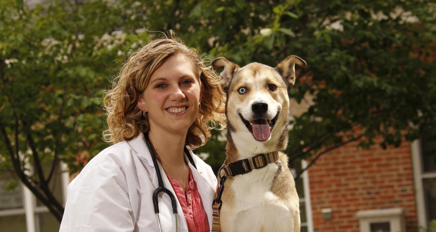 A North Central College veterinary student with a dog patient.