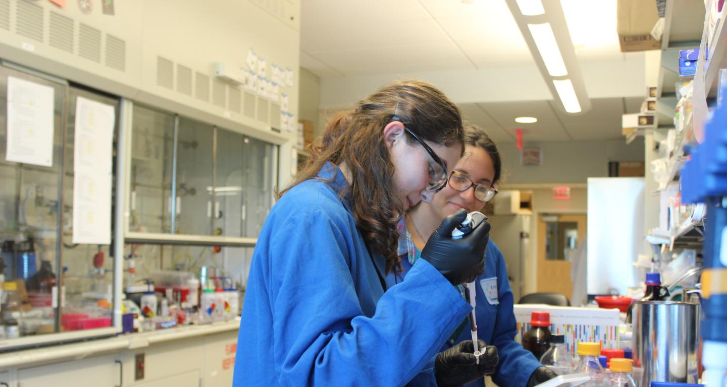 North Central College anthropology students in the lab.