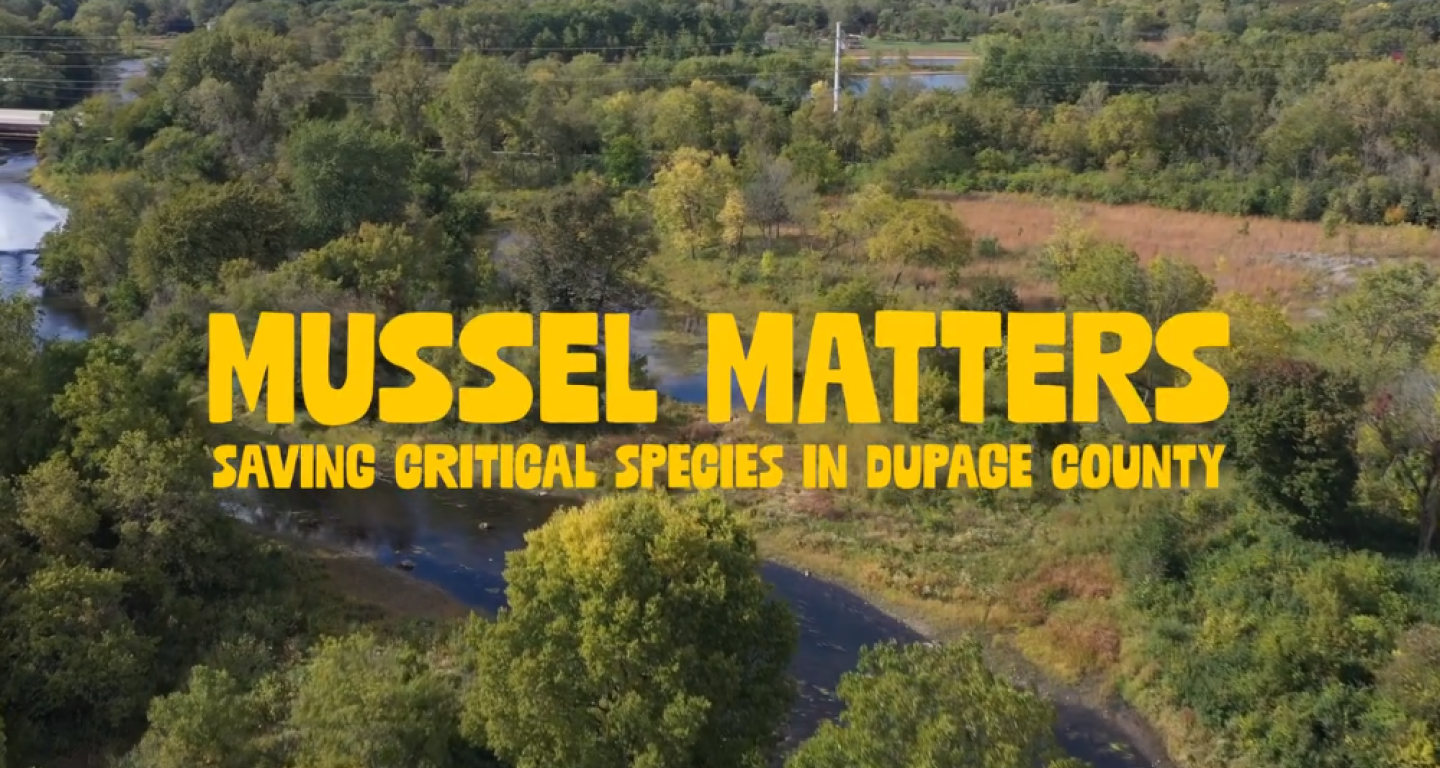 The main title card for the "Mussel Matters" documentary.