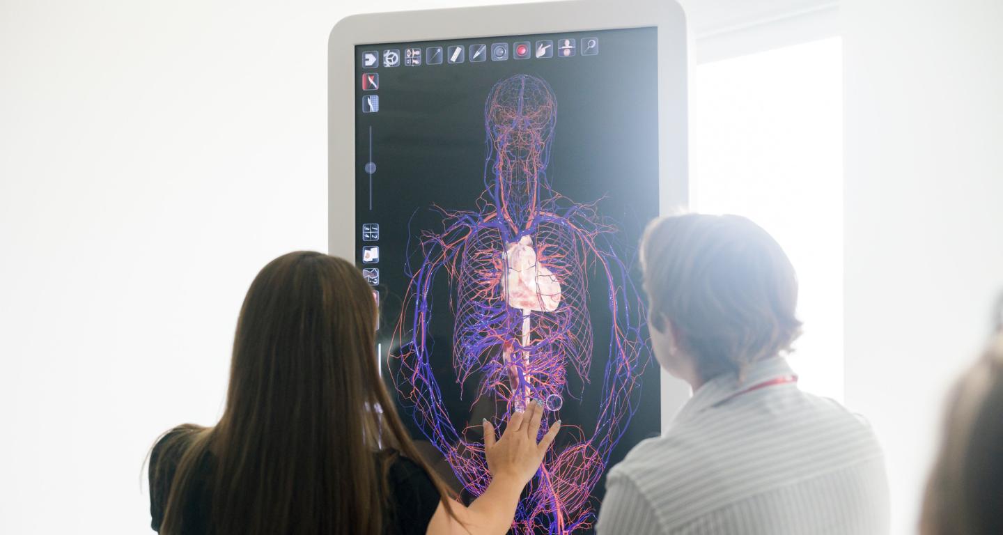 Two students viewing a demonstration on North Central's Anatomage table.