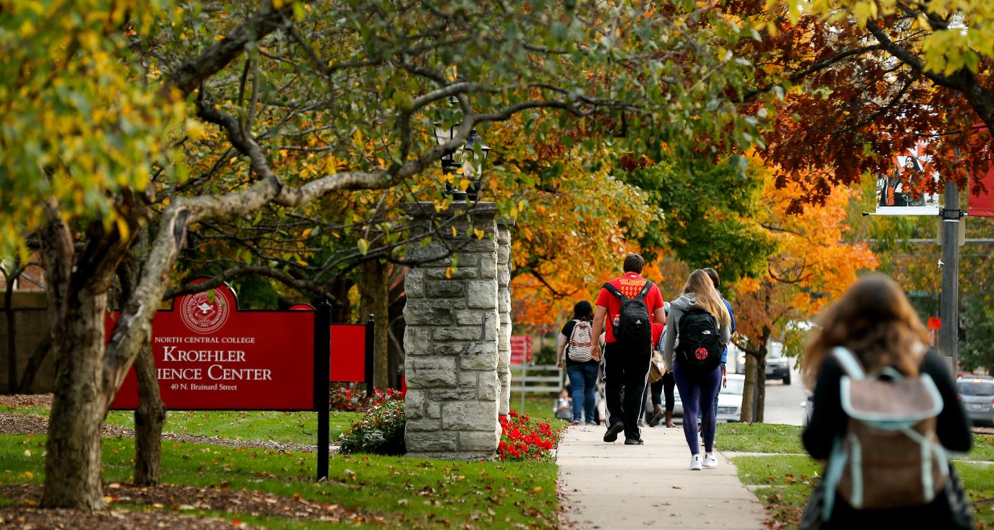 fall leaves on campus