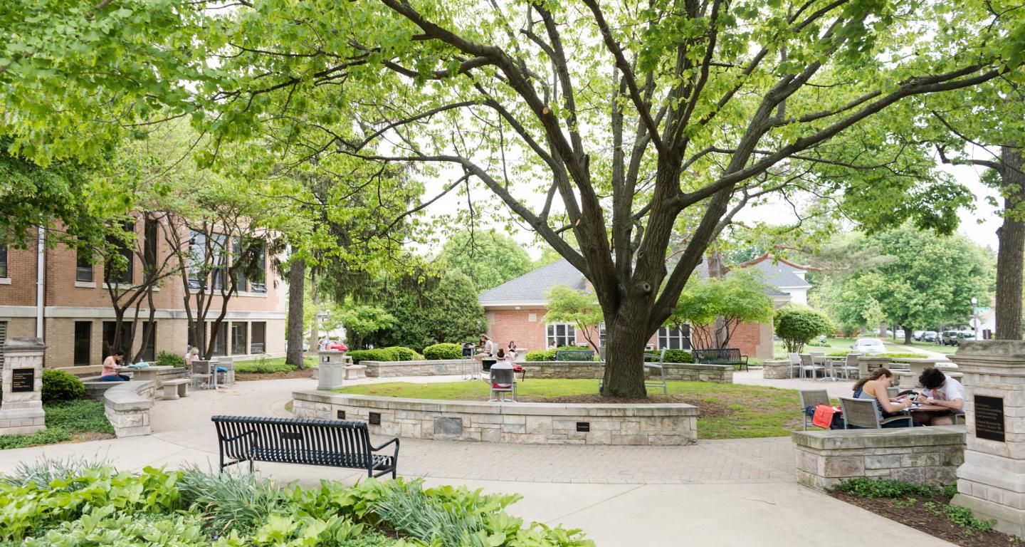 studying outdoors on campus