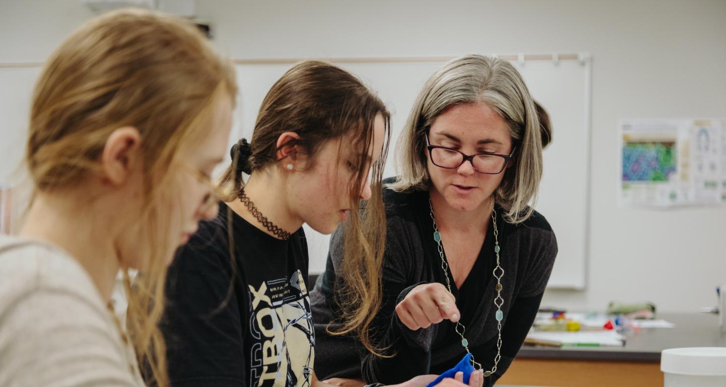 Faculty mentoring students