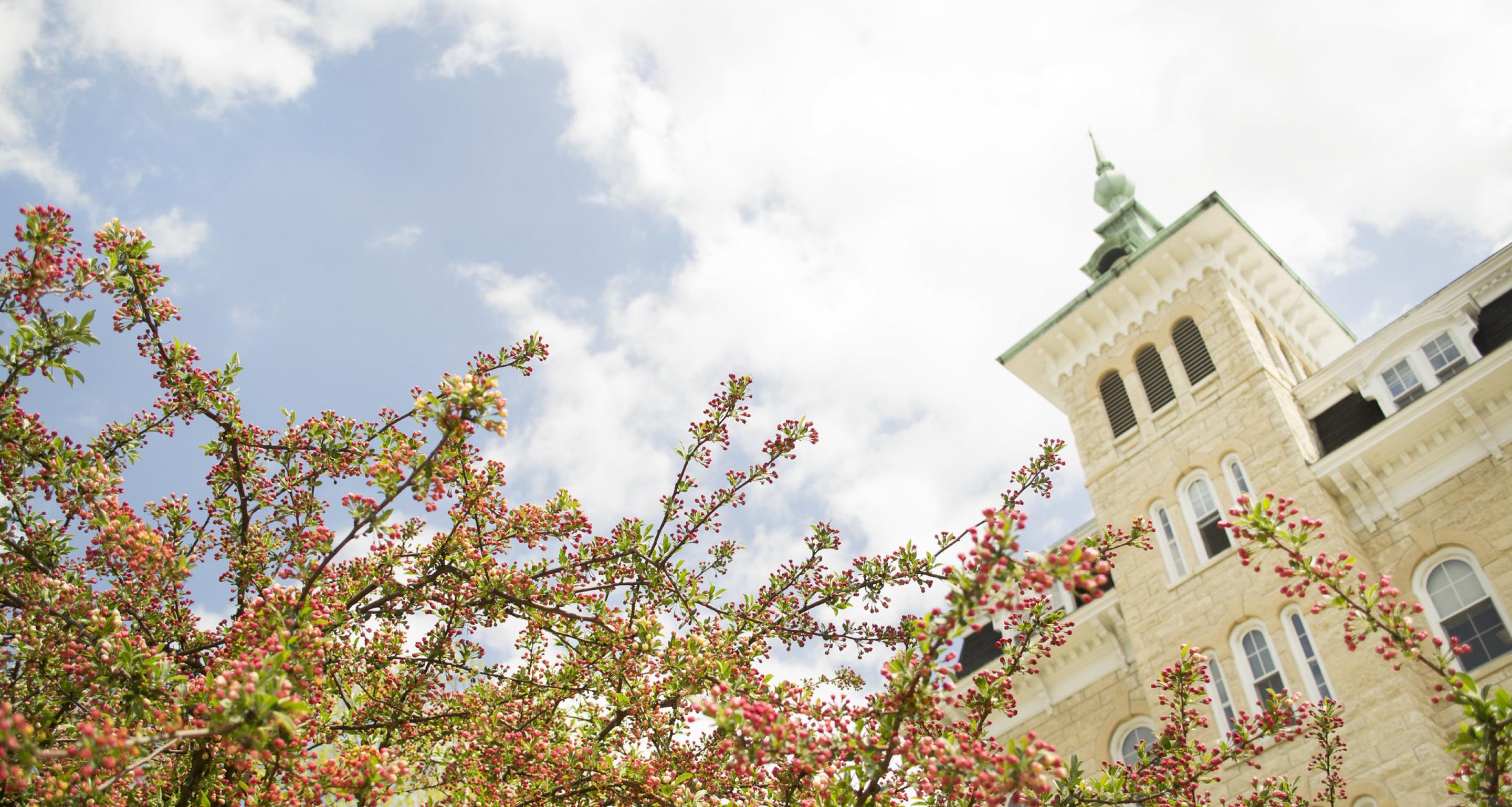 Undergraduate Tuition and Fees North Central College