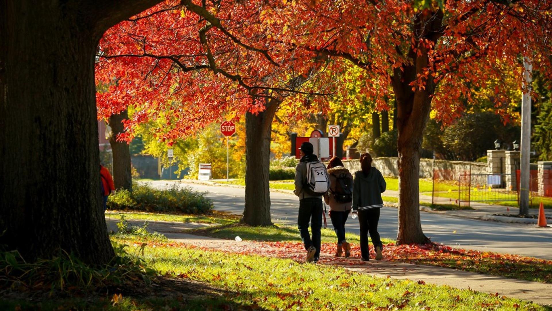 A fall landscape shot of North Central College