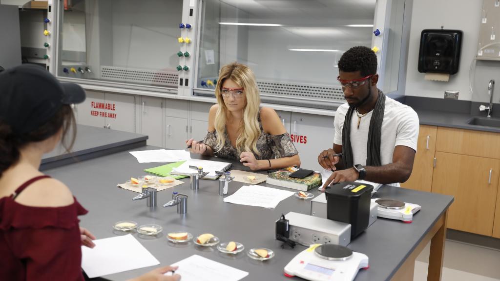A Breakdown on Molecular Biology vs Biochemistry North Central College