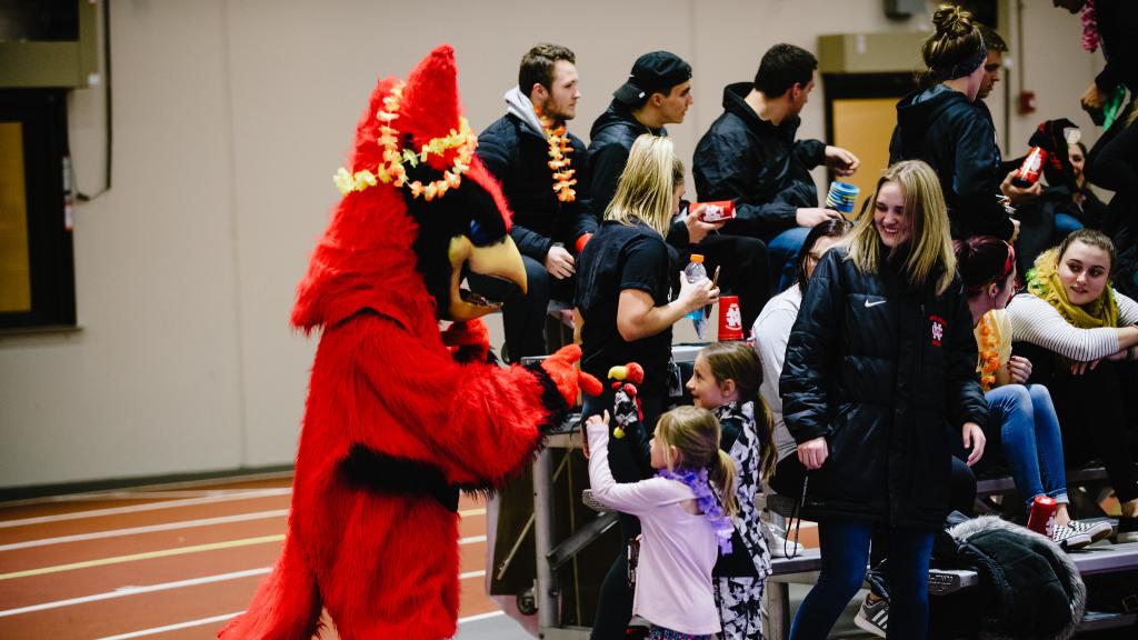 Sports Management Salary A Guide North Central College