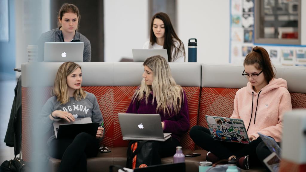 What Does A Web Designer Do North Central College what-does-a-web-designer-do-north-central-college