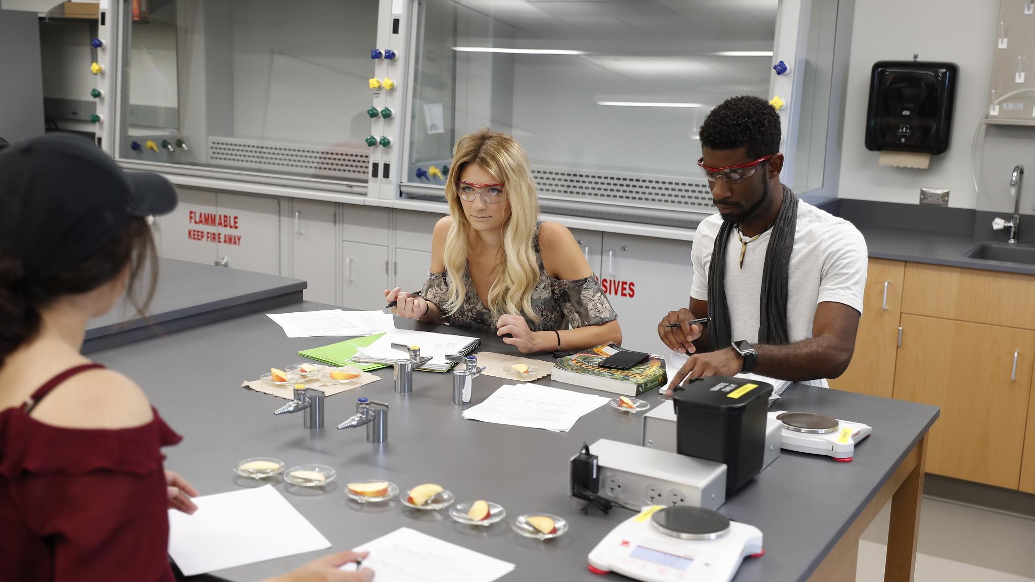 A Breakdown on Molecular Biology vs Biochemistry North Central College