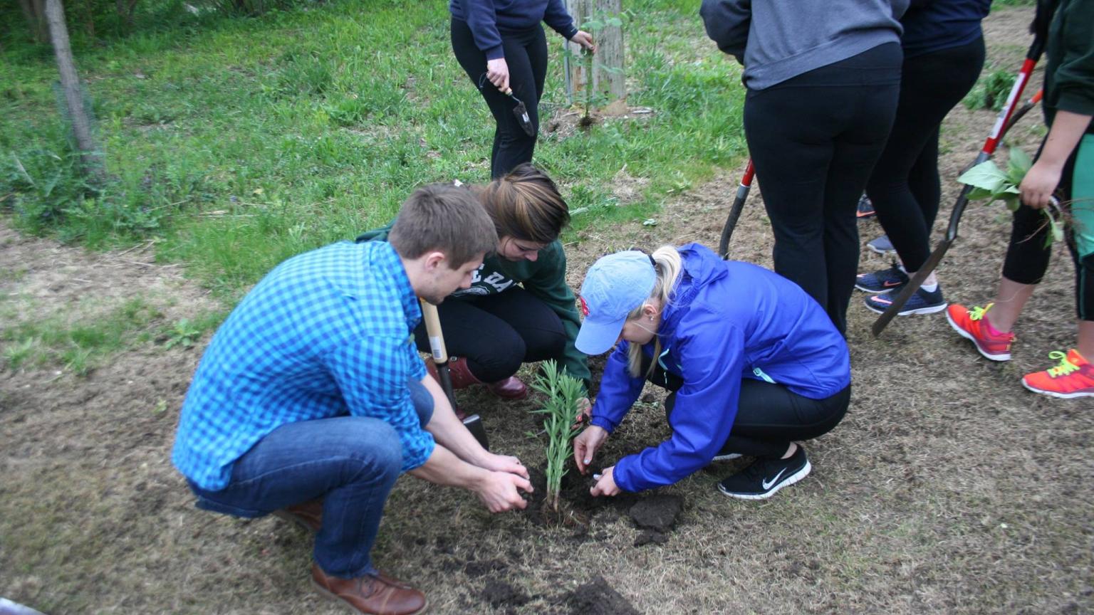 how-to-become-an-environmental-scientist-5-tips-north-central-college