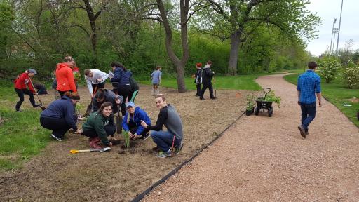 students planting a tree