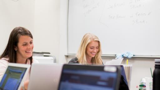 Two students studying online