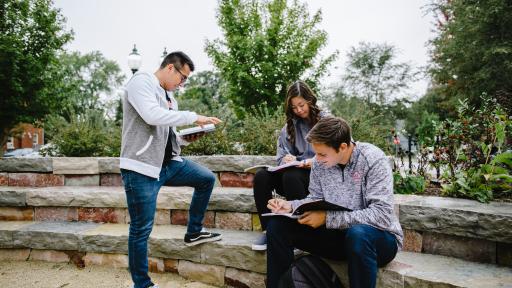 Students studying on campus