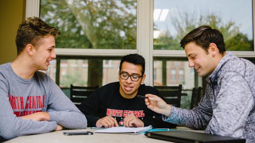 Group of students studying outside