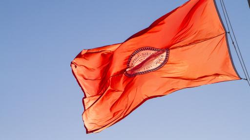 North Central College flag