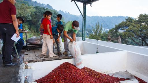 students in guatemala