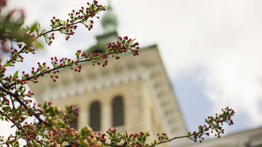 Old Main Building Tower on North Central College Campus