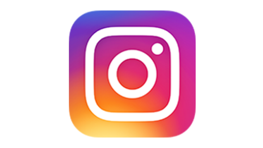 Instagram Icon