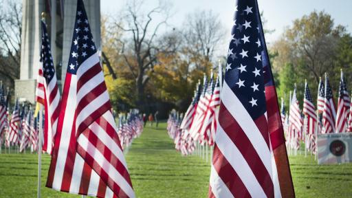 united states flags 