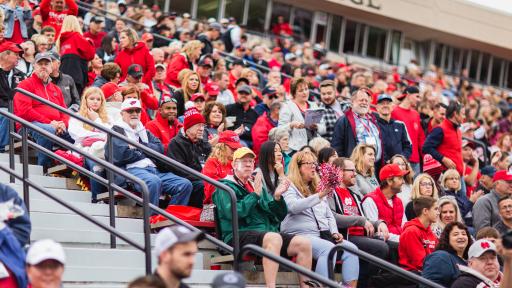 Fans in stadium