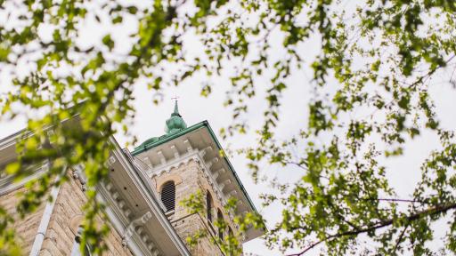 old main tower through tree branches