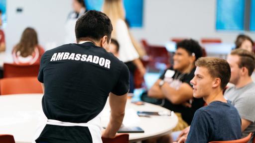 Cardinal First Ambassador