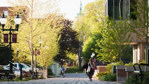 Walkway to Old Main