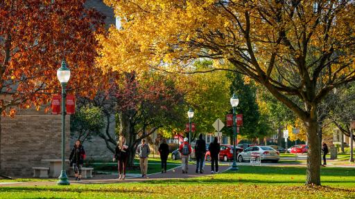 Campus walkway in the fall