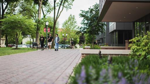 Campus walkway