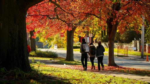 three students walking outside with fall leaves