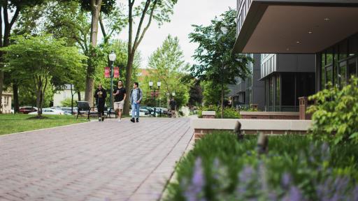 North Central College path