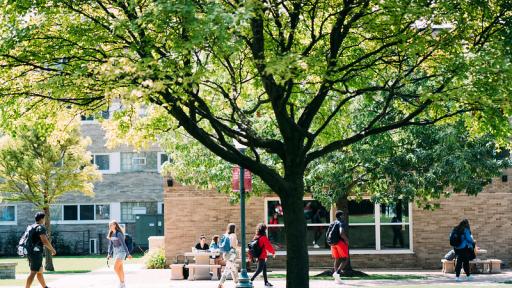 Students walking on path