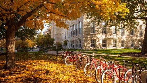 Campus in fall