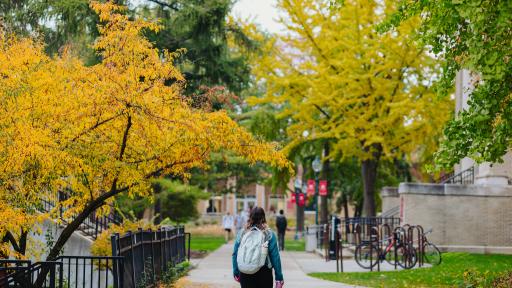 A North Central College student is walking on the main path on campus.